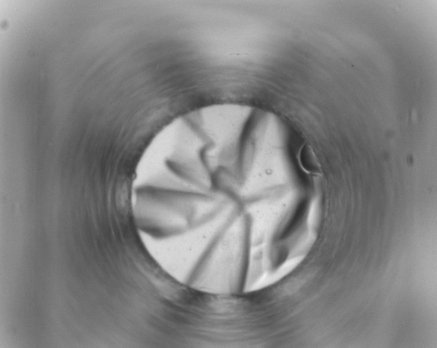 X0000089430336200707061350