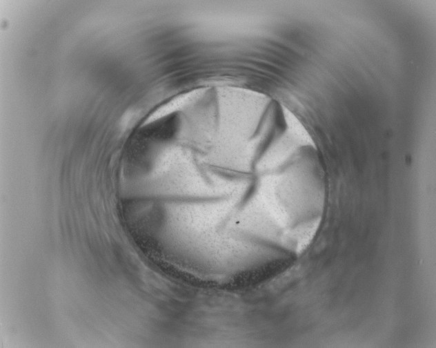 X0000089430337200707061349