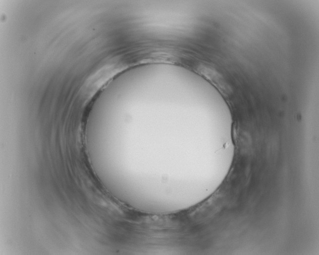 X0000089430338200707061349