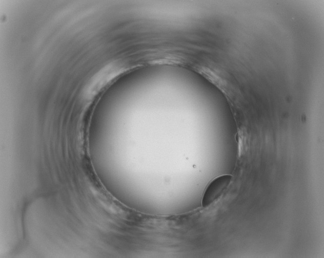 X0000089430339200707061349