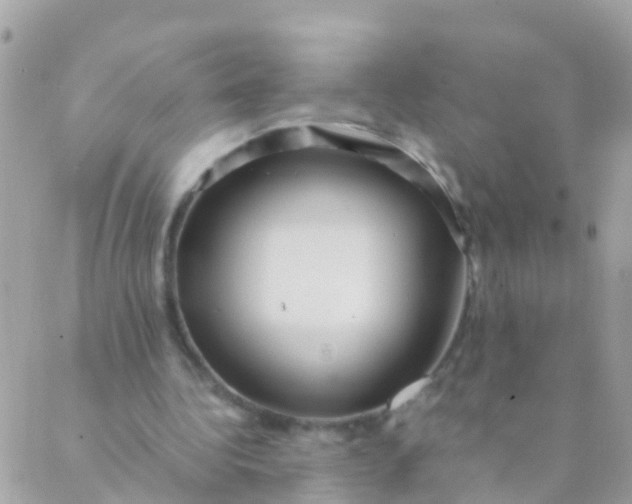 X0000089430340200707061349