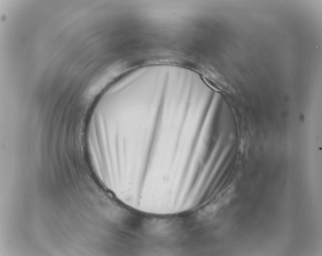 X0000089430341200707061349