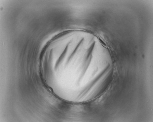 X0000089430342200707061349