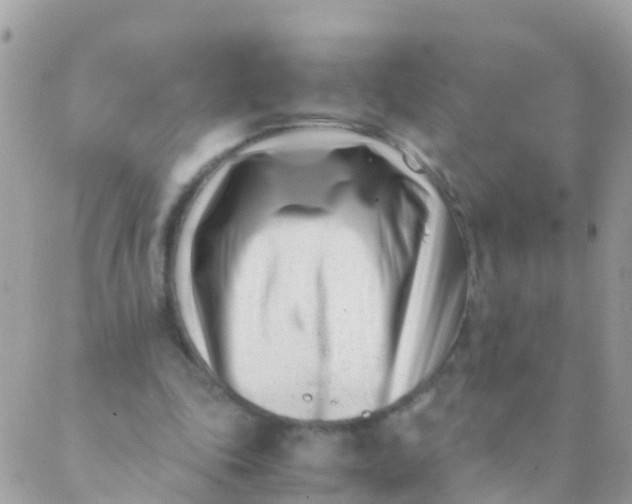 X0000089430343200707061349