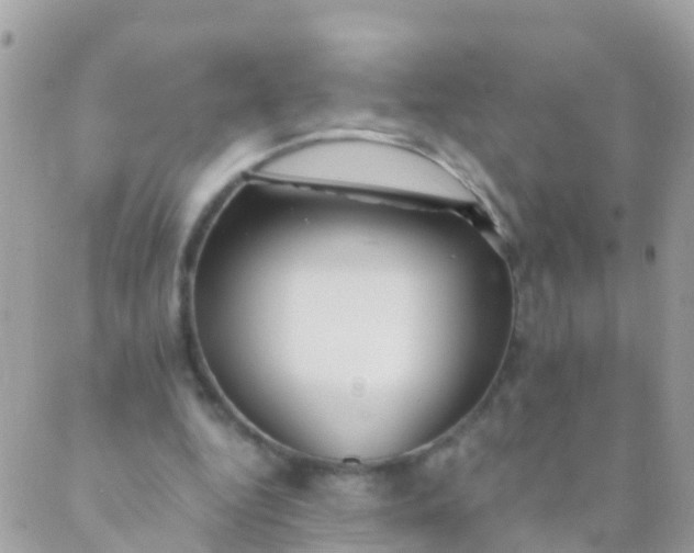 X0000089430344200707061349