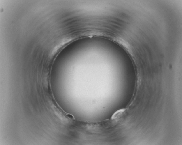 X0000089430345200707061349