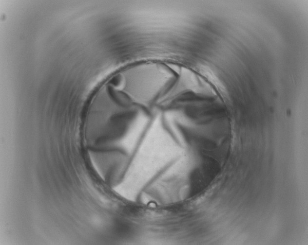 X0000089430346200707061349