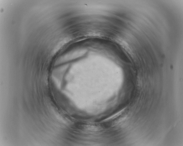 X0000089430347200707061349