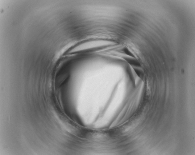 X0000089430348200707061349