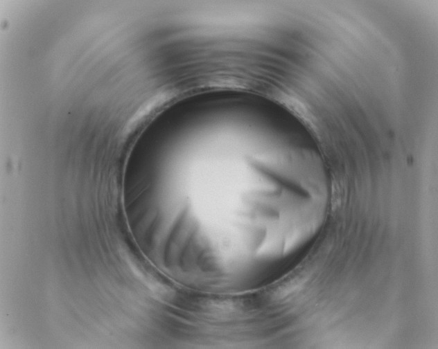 X0000089430349200707061349