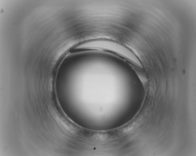 X0000089430350200707061349