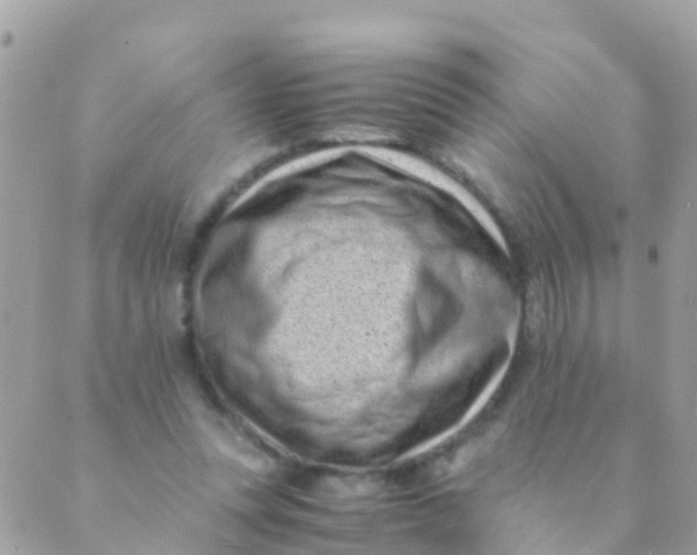 X0000089430351200707061349