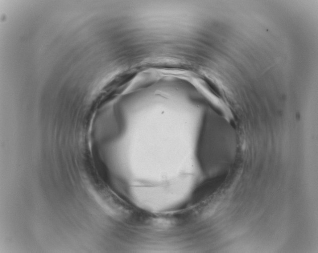 X0000089430352200707061349