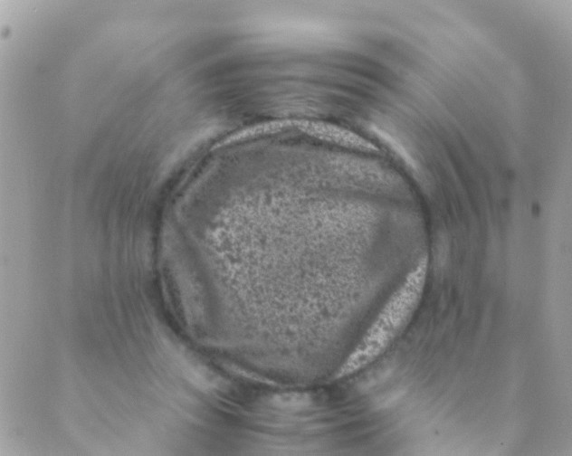 X0000089430353200707061349