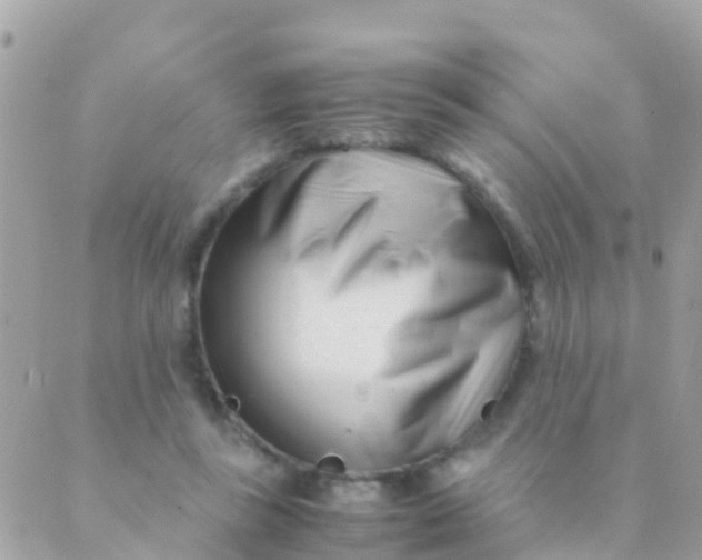 X0000089430355200707061349