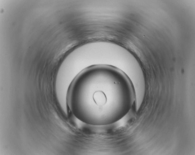 X0000089430356200707061349