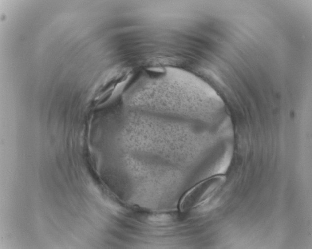 X0000089430357200707061349