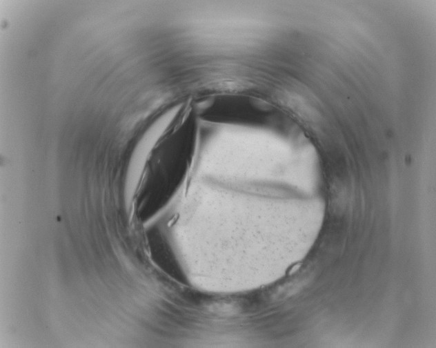 X0000089430358200707061349