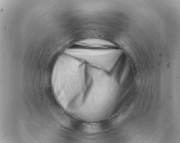 X0000089430359200707061349