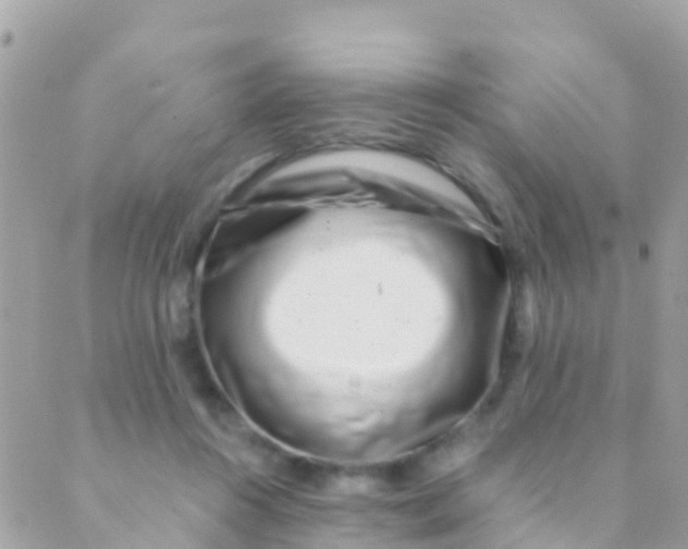 X0000089430360200707061349