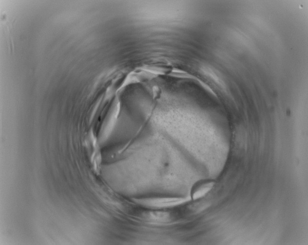 X0000089430361200707061349