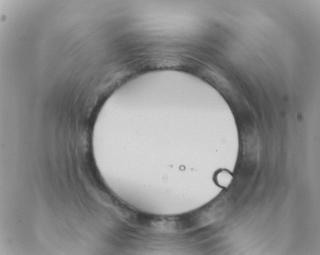 X0000089430362200707061349