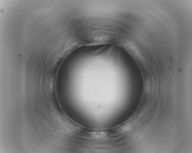 X0000089430363200707061349