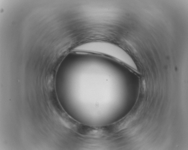 X0000089430364200707061349