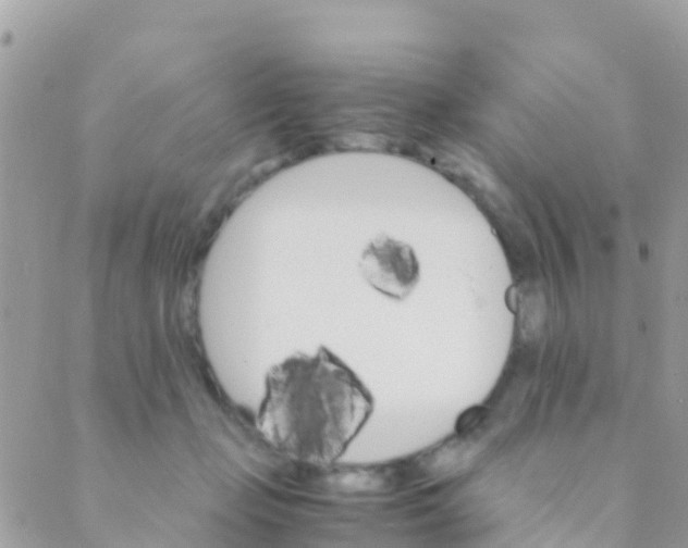 X0000089430365200707061349