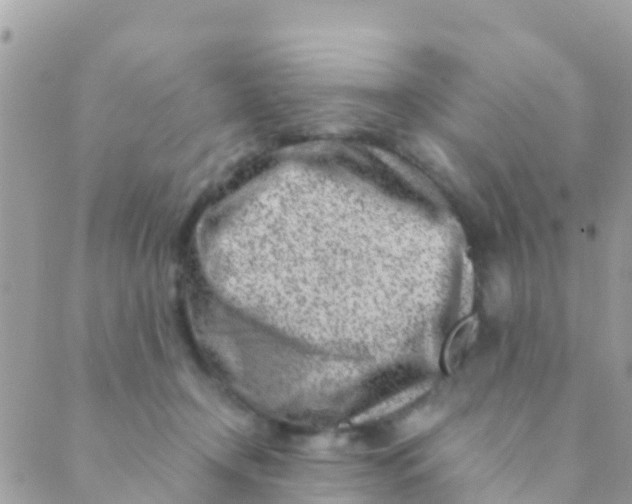 X0000089430366200707061349