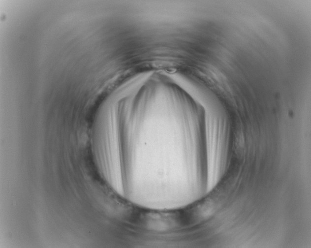 X0000089430367200707061349