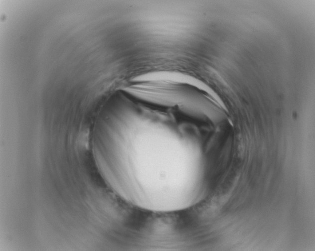 X0000089430368200707061349