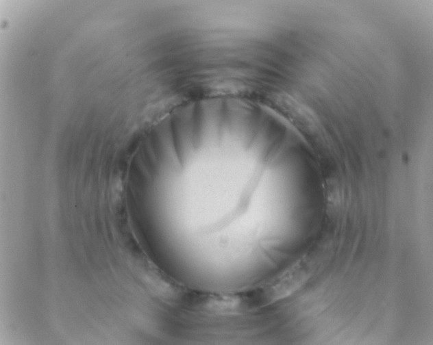 X0000089430369200707061349