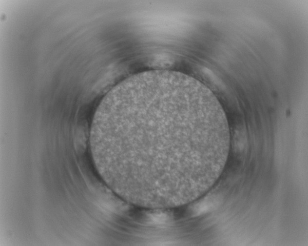 X0000089430370200707061349