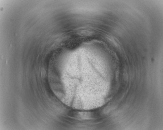 X0000089430371200707061349