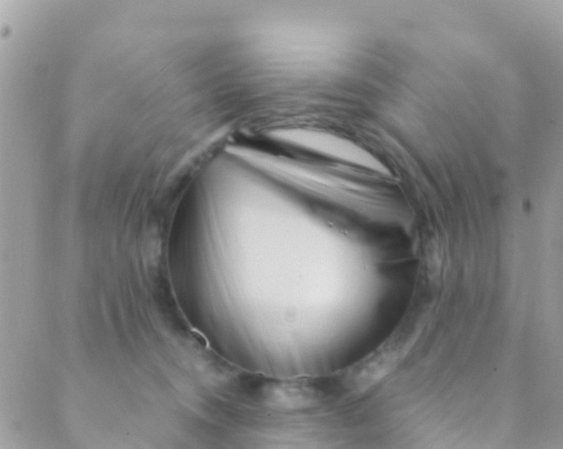 X0000089430372200707061349