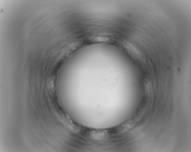 X0000089430373200707061349