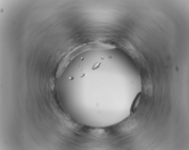 X0000089430374200707061349