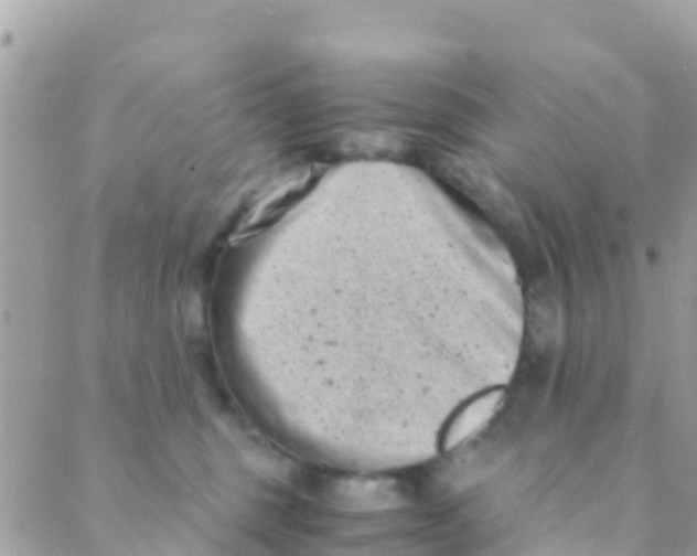 X0000089430375200707061349