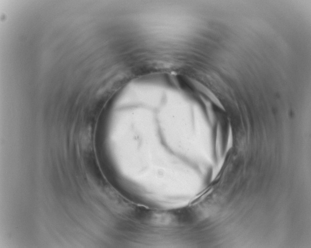 X0000089430376200707061349