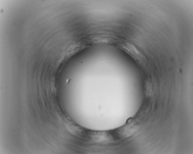 X0000089430377200707061349