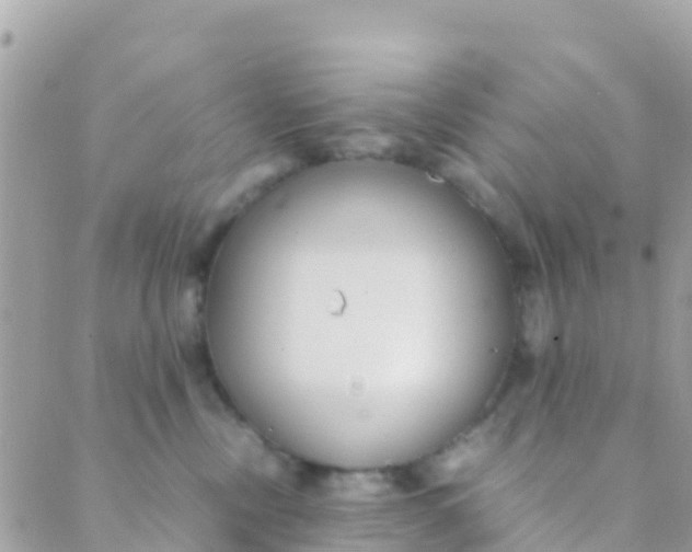 X0000089430378200707061349