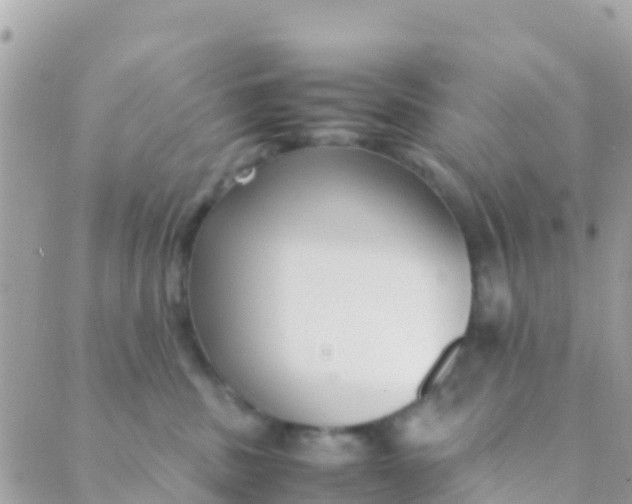 X0000089430379200707061350