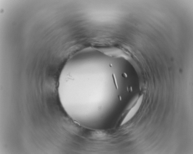 X0000089430380200707061350