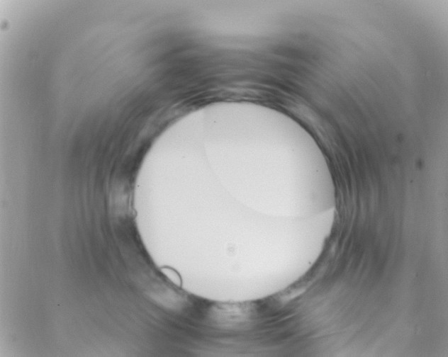 X0000089430381200707061350