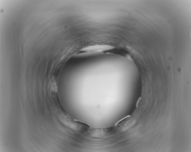 X0000089430384200707061350