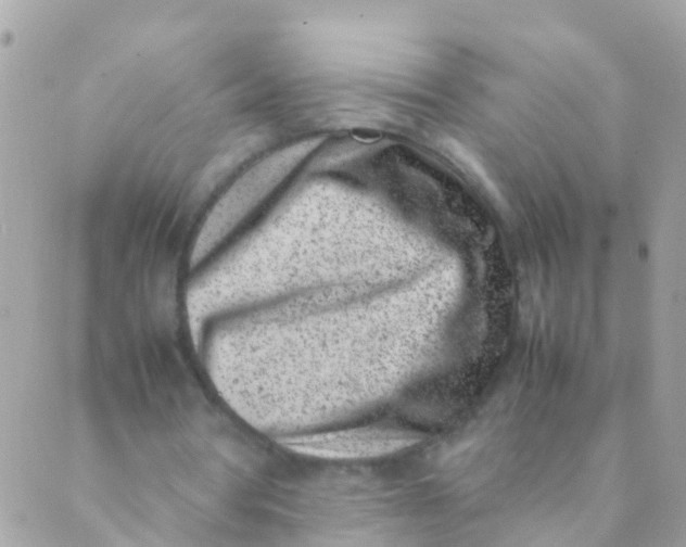 X0000089430386200707061349