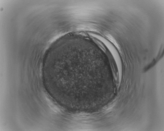 X0000089430387200707061349