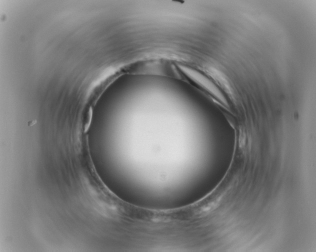 X0000089430388200707061349