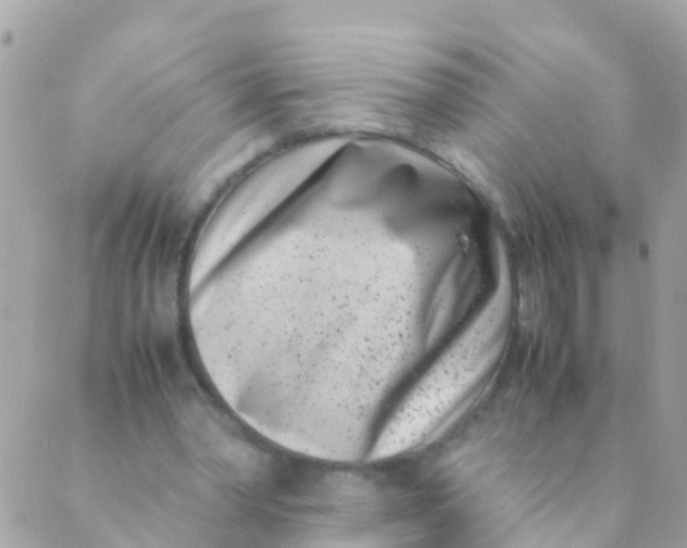 X0000089430390200707061349